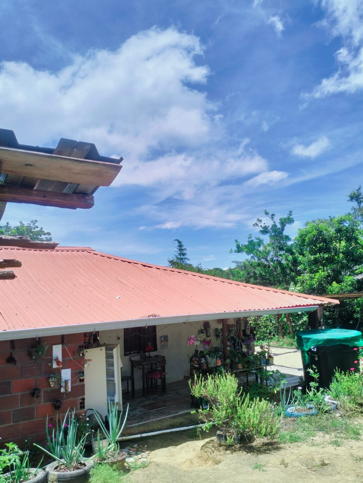 FINCA EL ALTO - ARATOCA VEREDA CLAVELLINAS